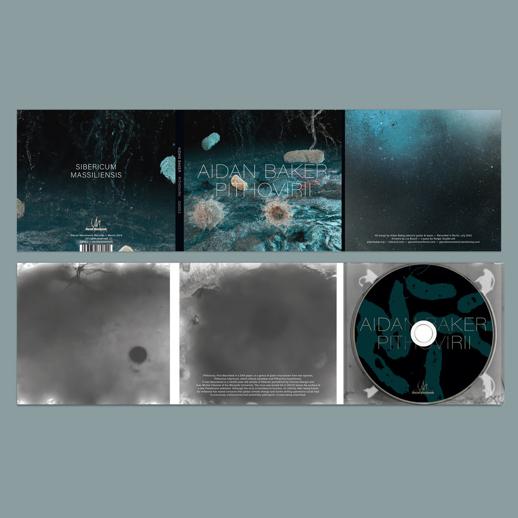 Pithovirii - Image 3